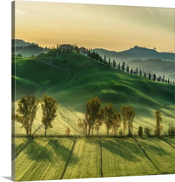 Sunny Tuscany - Canvas Wall Art, 20x20, Great Big Canvas