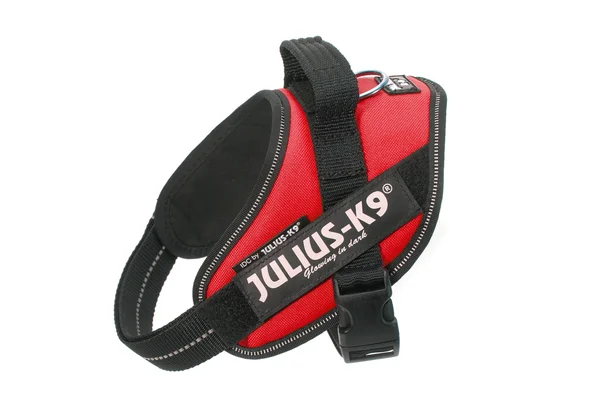 Julius-K9 IDC Powerharness Dog Harness, Blue, Size 2