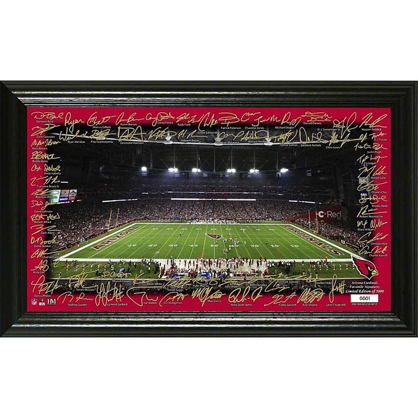 NFL Arizona Cardinals 2020 Signature Gridiron Framed Photo Multi