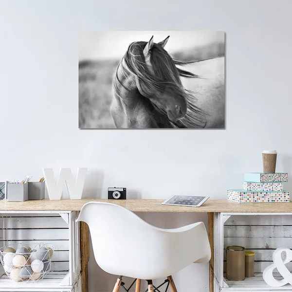 Tony Stromberg Canvas Prints - Fierce Grace ( Animal Art > Farm Animals > Horses art)