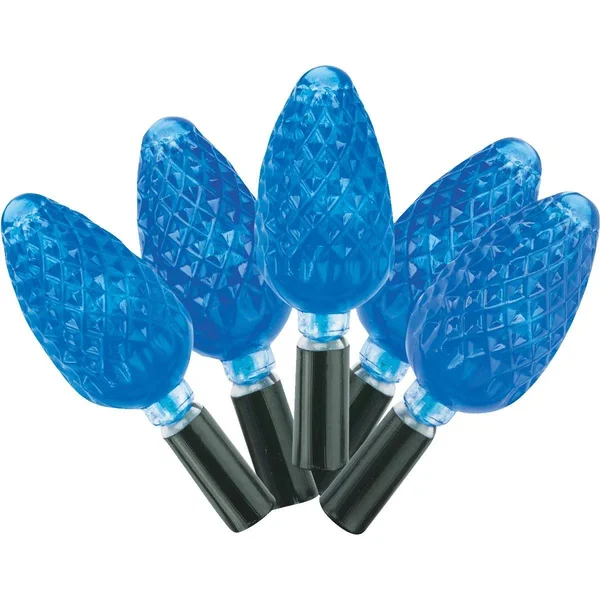 J Hofert C6 LED Light Set - Blue