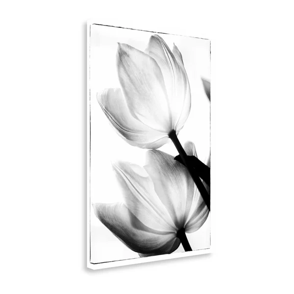 Tangletown Fine Art Translucent Tulips II by Debra Van Swearingen, Giclee Print, 22x22x31x22
