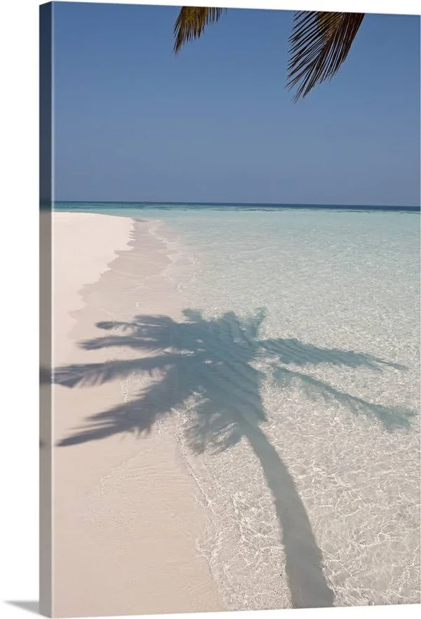 Shadow of A Palm Tree on A Deserted Island Beach - Canvas Wall Art, 24x36, Great Big Canvas