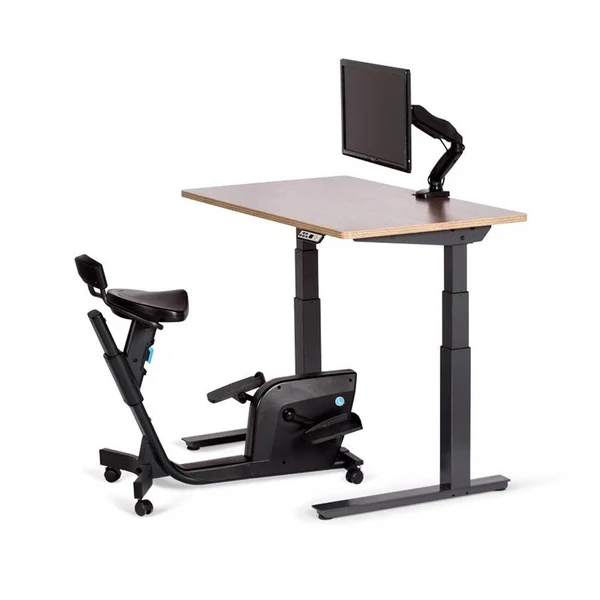 Lifespan Solo Under Desk Bike