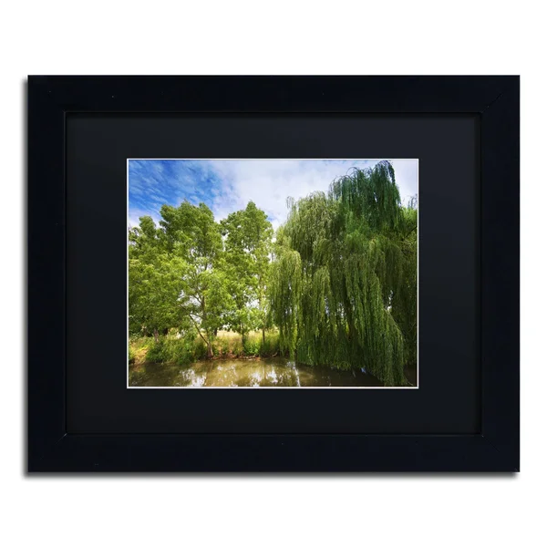 Trademark Fine Art &Waterhole& by Philippe Sainte-Laudy Framed Photographic Print - Size: 11x22 H x 14x22 W - Matte Color: Black
