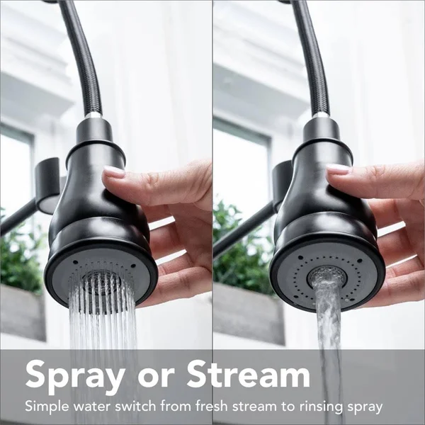Ez-flo Kitchen Series Single-Handle Spring-Style Pull-Down Sprayer Kitchen Faucet in Matte Black 10043