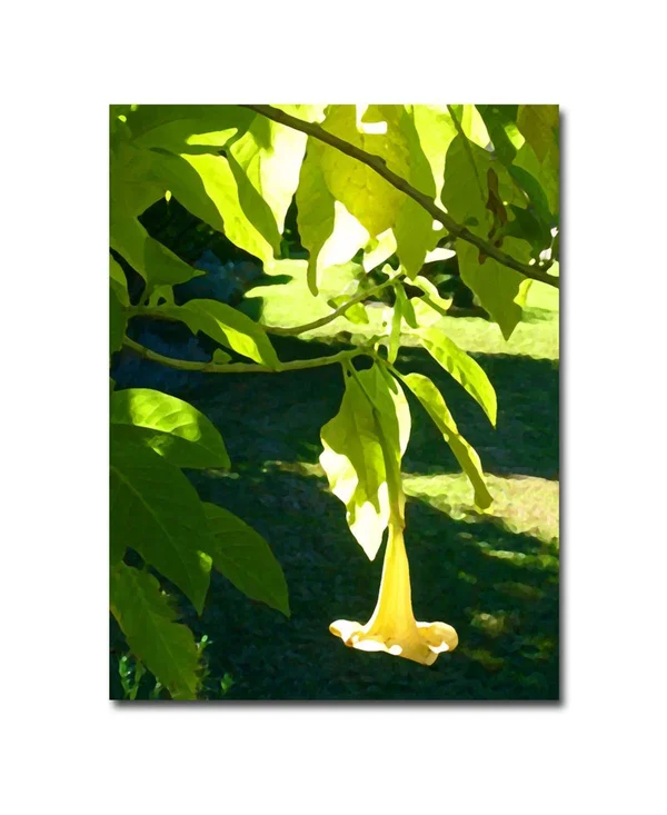 Trademark Global Amy Vangsgard Singe Angel S Trumpet Canvas Art