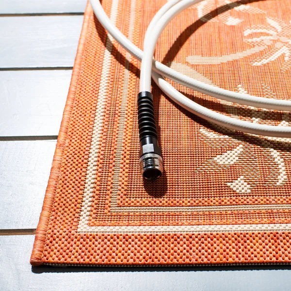 Safavieh 8& x 11& Courtyard CY5148A Rust, Sand Rug