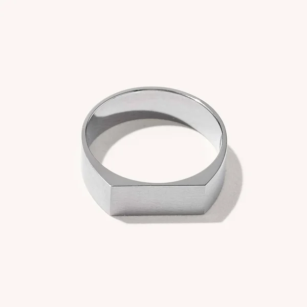 Mejuri Titanium Signet Rings: Titanium Signet Ring
