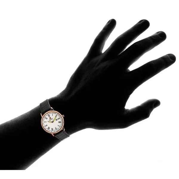 Steinhausen Classic Men's S0119 Altdorf Swiss Quartz Rose Gold Black Leather Band Watch