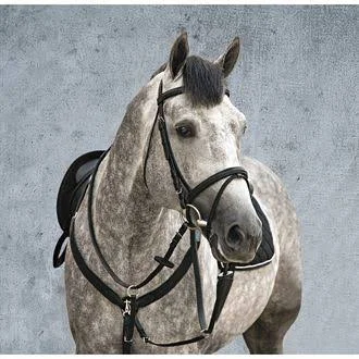 Amigo Bridle with Flash & Rubber Reins, Standard Horse, Black