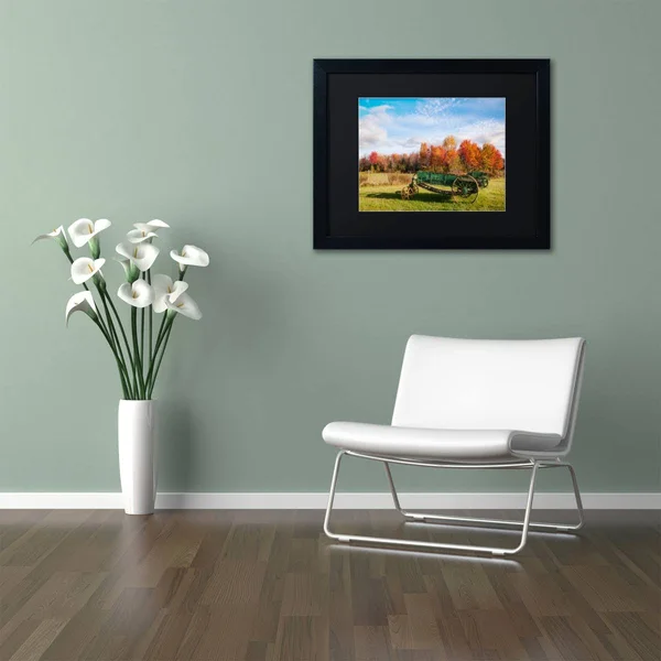 Trademark Fine Art The Old Rake by Michael Blanchette Framed Photographic Print - Size: 16x22 H x 20x22 W x 0.5x22 D, Matte Colo