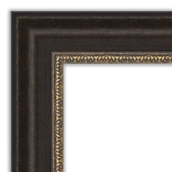 Amanti Art Impact 46x22 x 36x22 Framed Bathroom Vanity Mirror in Bronze