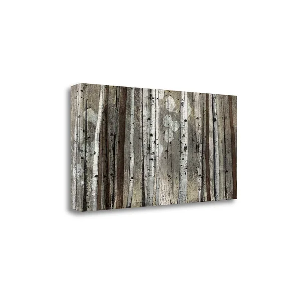Tangletown Fine Art Silver Lining by Tandi Venter - Giclee Print on Gallery Wrap Canvas, 39x22x20x22