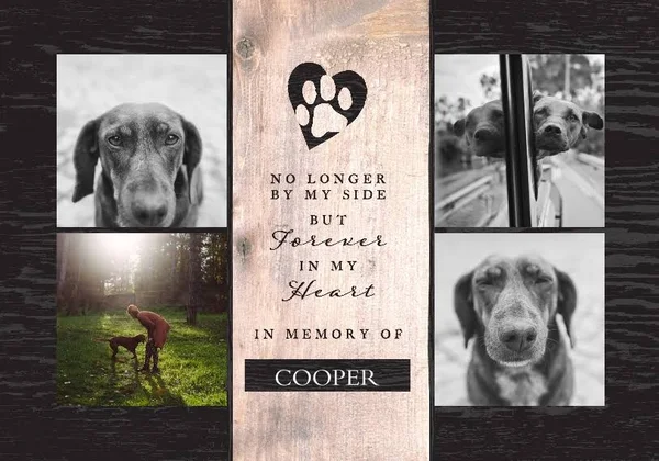 Pet Framed Canvas Print - Chocolate, 20x30, Home D閏or - The Good Pet