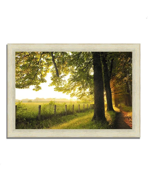 30x22 x 42x22 Fresh Morning Sun Framed Photograph Print