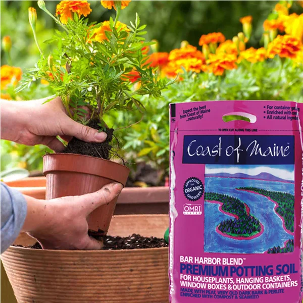 Coast of Maine Bar Harbor Blend Organic Potting Soil - 16 Quart Bag (10 Pack)