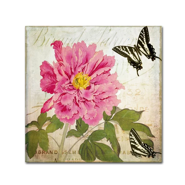 Trademark Fine Art Aja by Color Bakery - 18x18-Inch Canvas Wall Art