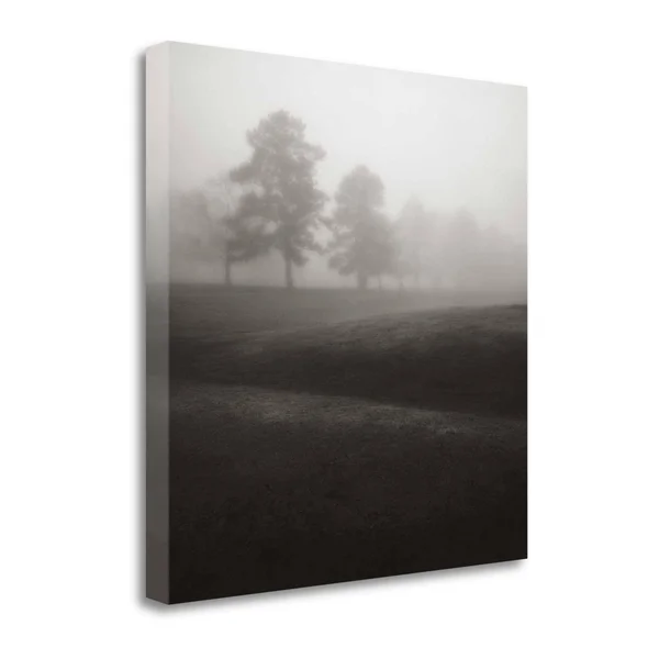 Tangletown Fine Art Fog Tree Study II by Jamie Cook, Giclee Print on Gallery Wrap Canvas, 35x22X35x22
