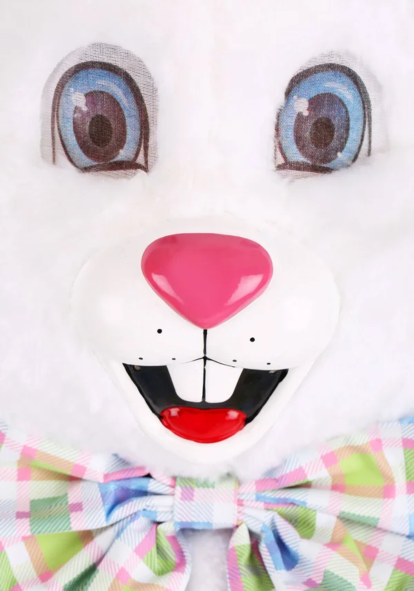 California Costumes Men's Deluxe Easter Bunny Costume