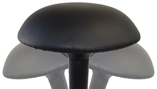 Wobble Stool Standing Desk Chair for Active Sitting Modern Sit Stand