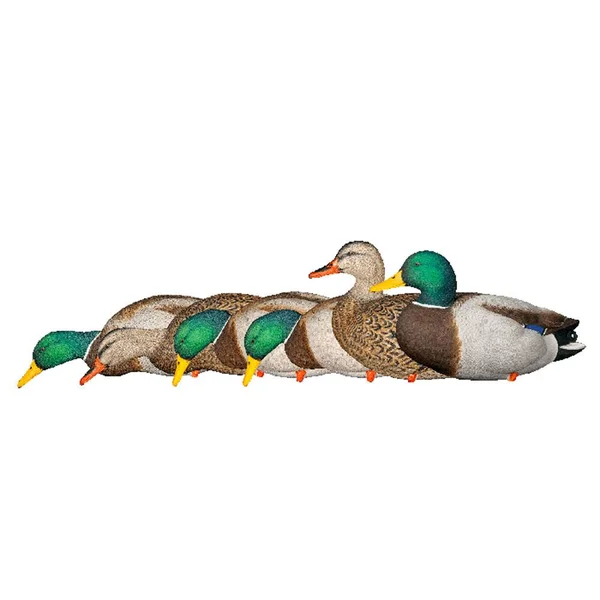 Avian-X Full Body Mallard Decoys 6 Pack