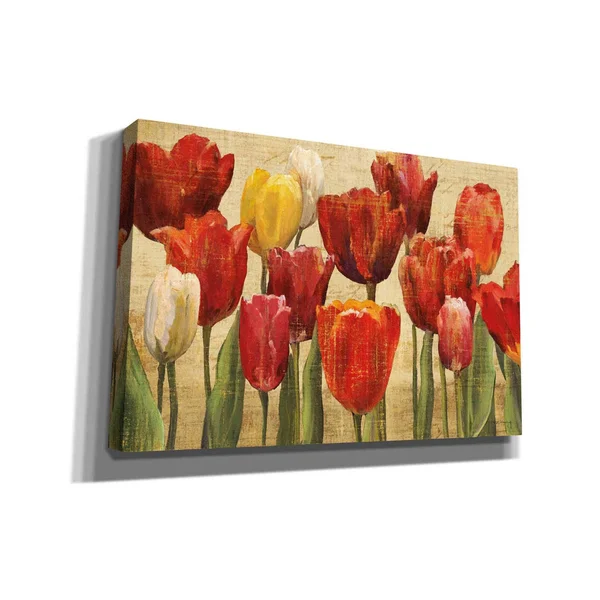 Epic Graffiti &Tulip Fantasy on Cream& by Marilyn Hageman - Canvas Wall Art, 40x22x26x22