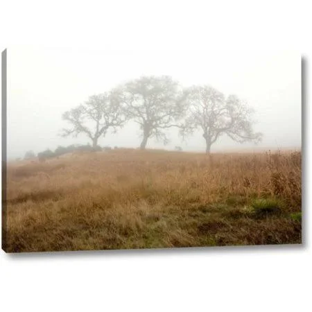 Millwood Pines 'Oak Tree - 16' by Alan Blaustein Giclee Art Print on Wrapped Canvas - Size: 10 inch H x 16 inch W x 1.5 inch D, B