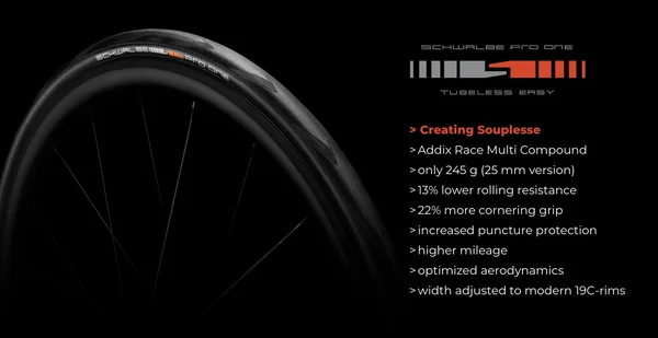Schwalbe One TLE Folding Tire