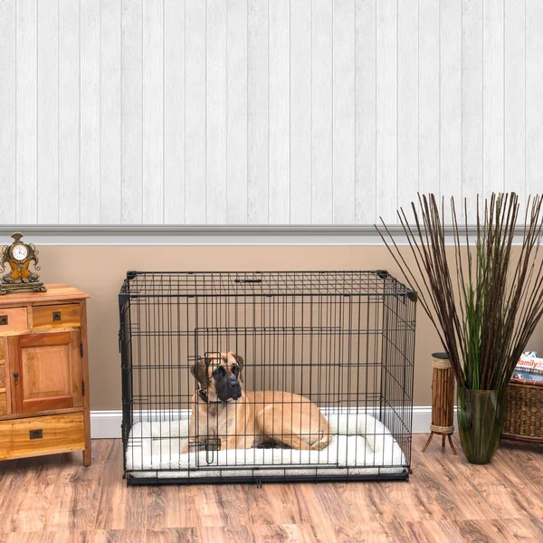 Lucky Dog 2-Door Training Crate
