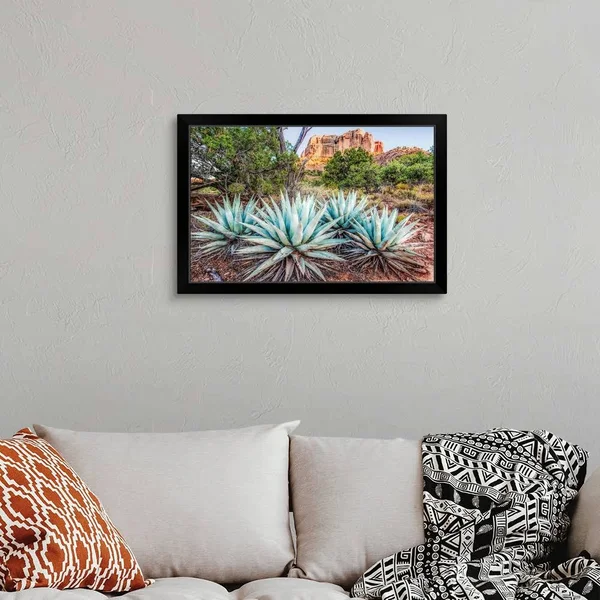 Agave Plants and Cathedral Rock - Sedona AZ, Black Framed Wall Art, 30x20, Great Big Canvas