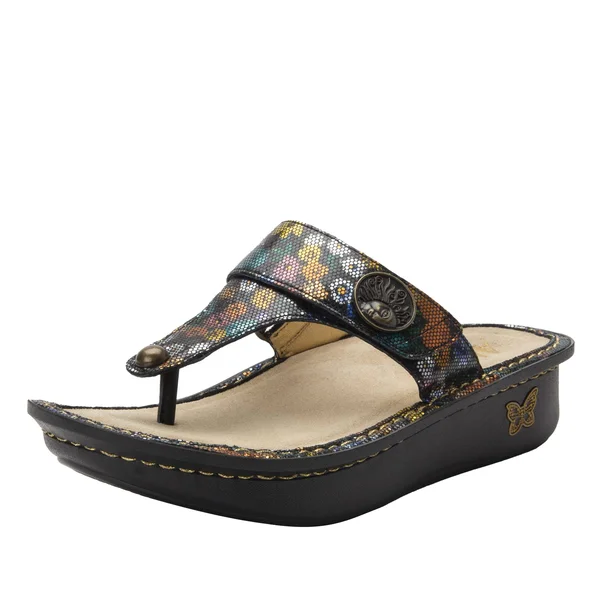 Alegria Women's Carina Shoes - Carina Carefree in Size 36