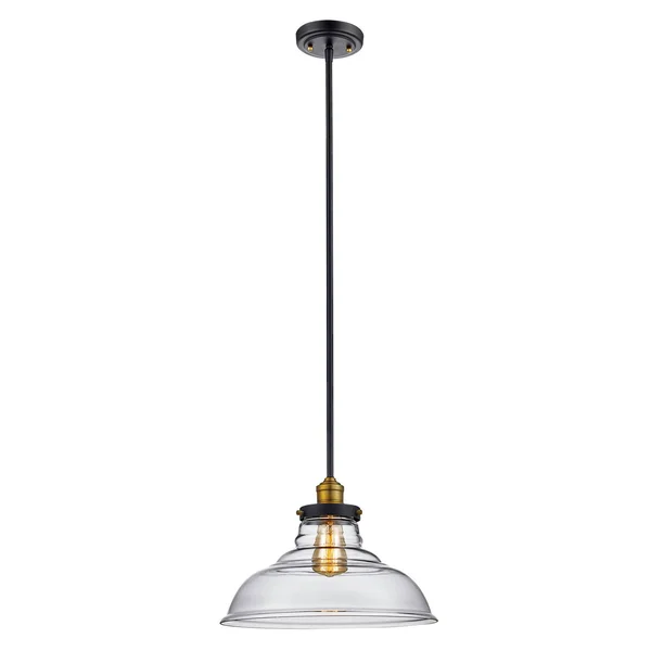 Trans Globe Lighting Jackson 70824 Rob Pendant Light