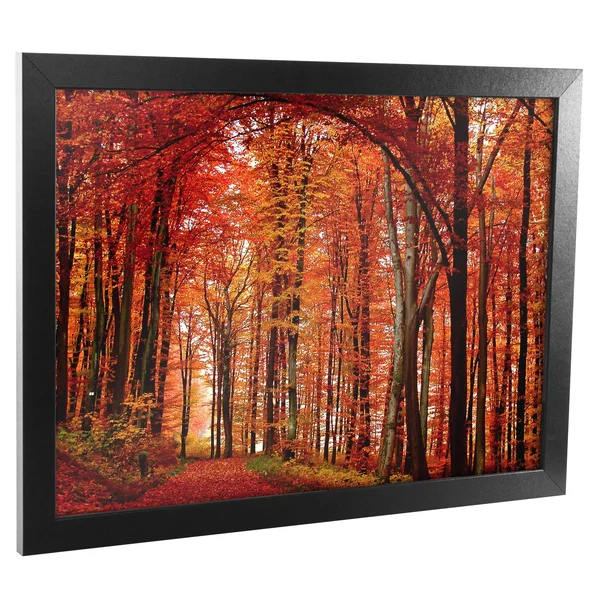 Trademark Art The Red Way Framed Canvas Art - 18x24
