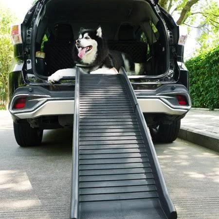 coziwow Cowziwow Folding Dog Ramp, Black, 60 inchl