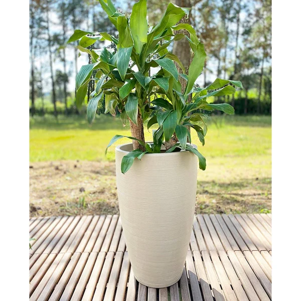 Floridis Amsterdan Medium Black Resin Planter Bowl