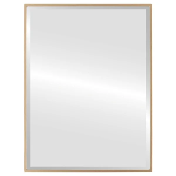 Singapore Framed Rectangle Mirror - Gold Spray - Gold Spray - 16 5/8x22x20 5/8x22