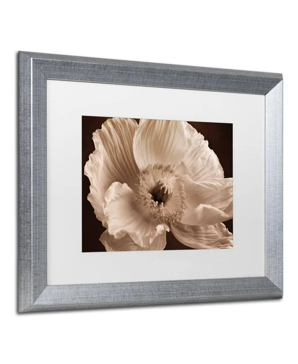 Trademark Art Sepia Poppy I by Cora Niele Framed Photographic Print Size: 16x22 H x 20x22 W x 0.5x22 D, Frame Color: Silver