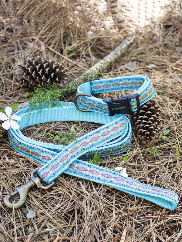 Pendleton Pet Diamond River Leash - Turquoise