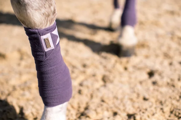 Equestrian Stockholm Fleece Bandages Lavender
