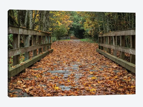 Tim Oldford Paintings on Canvas Art - Fall on The Goose (Victoria) Print ( Seasons > Autumn art)
