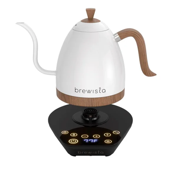 Artisan Electric Gooseneck Kettle All Black