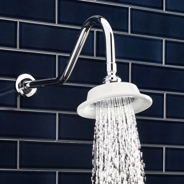 Signature Hardware Sunflower Shower Head with 17x22 Victorian Arm in Oil Rubbed Bronze 286277