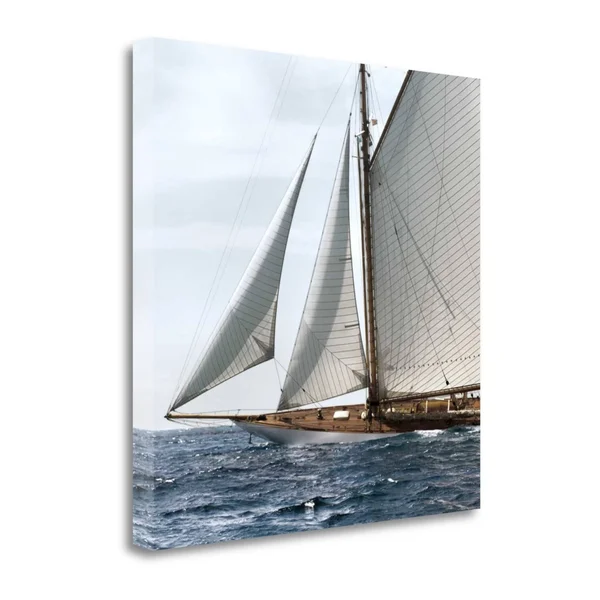 Tangletown Fine Art Sailing South by Jorge Llovet, Giclee Print on Gallery Wrap Canvas, 25x22x25x22