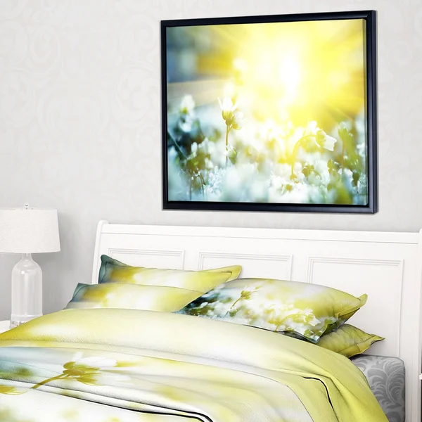 Designart 'Beautiful White Flowers at Sunrise' Large Flower Framed Canvas Wall Art - 20 in. Wide x 12 in. High