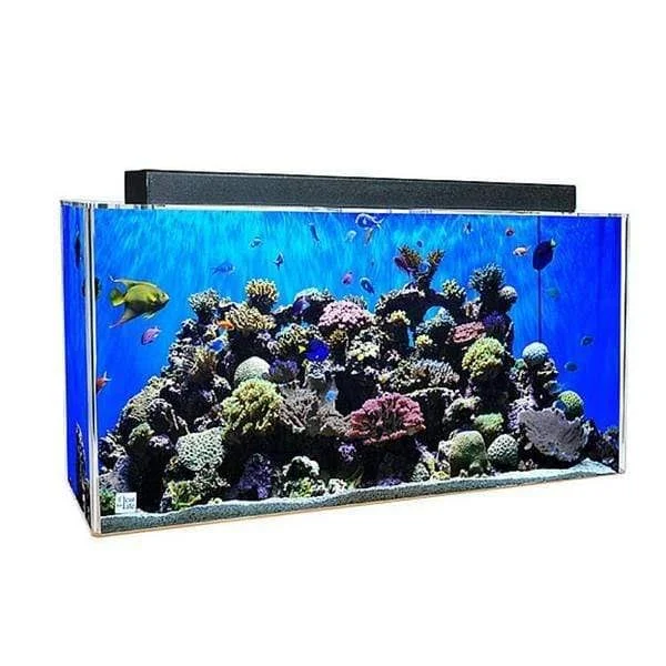Clear for Life20R 20-Gallon Rectangle Aquarium - Black