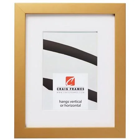 Craig Frames Confetti - 20x26 inch Modern Gold Picture Frame Matted for A 16x22 Photo, Size: 20 x 26