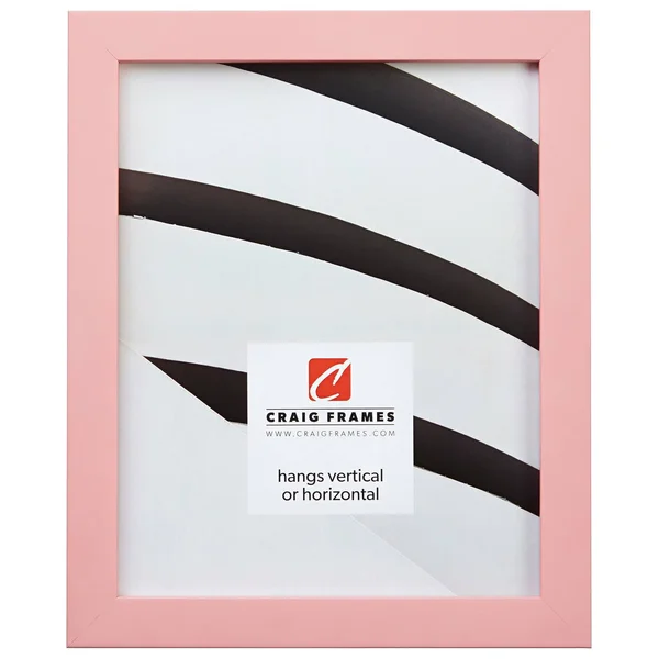 Craig Frames Confetti, 17 x 22 inch Picture Frame, Light Pastel Pink