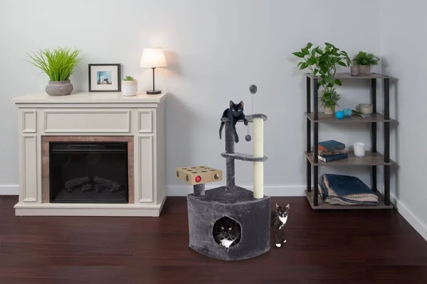 Tiger Tough Home Base Cat Playground - Gray