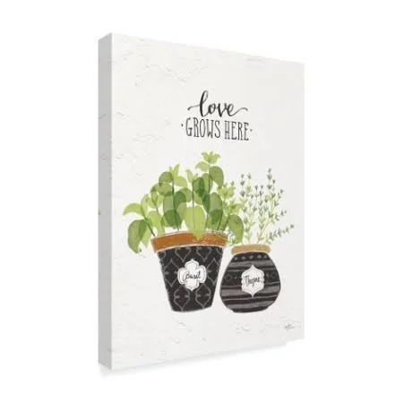 Trademark Fine Art 'Fine Herbs V' Graphic Art Print on Wrapped Canvas, White